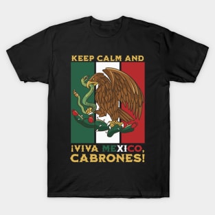 Mexican Independence Day Celebration T-Shirt